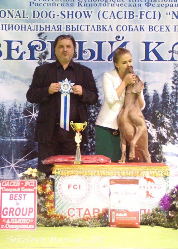 7 группа_1