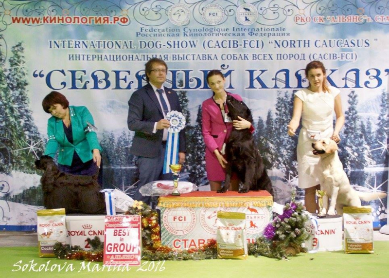 8 группа_1