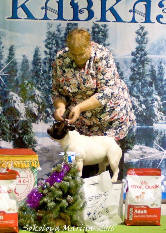 9 группа_8