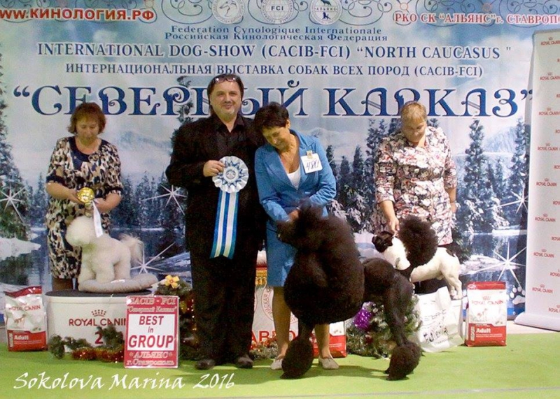 9 группа_1