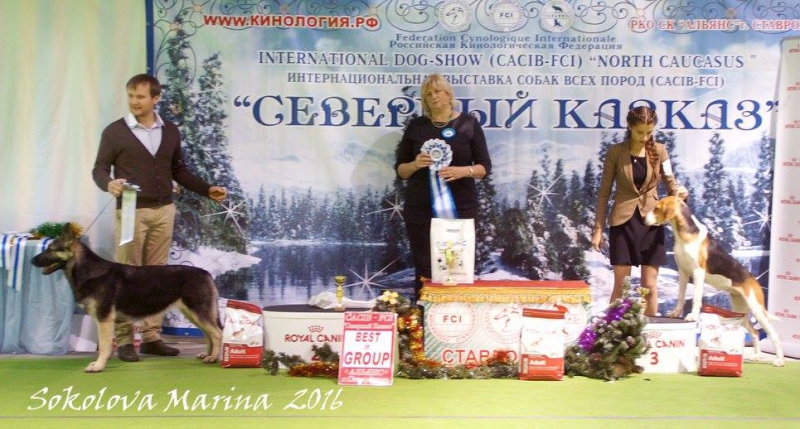 вне группы_2