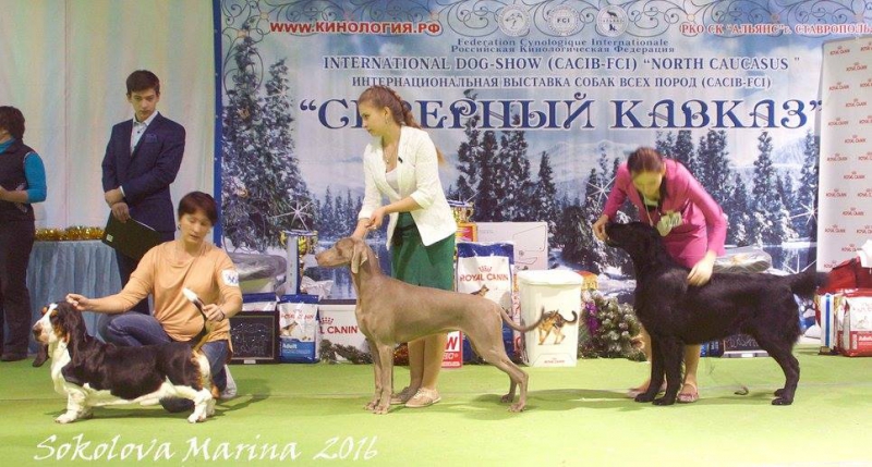 Большой бест_4
