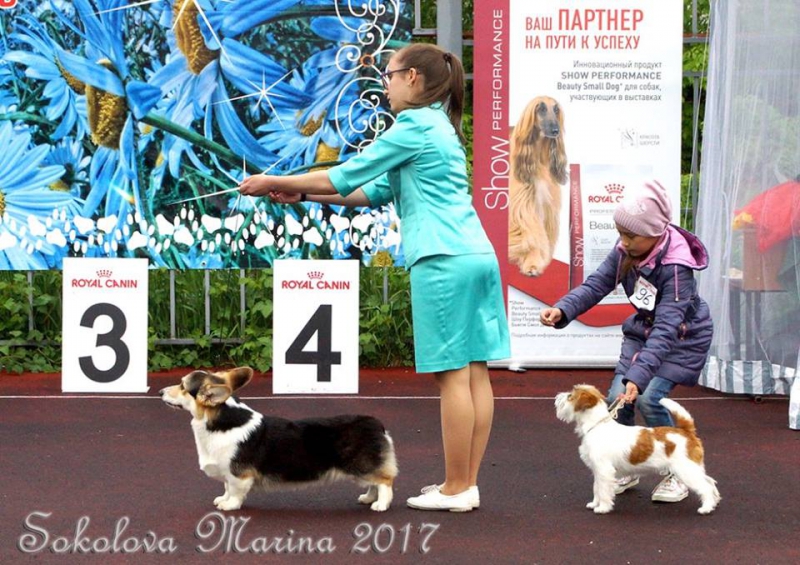 конкурс ЮНЫЙ ХЕНДЛЕР_3