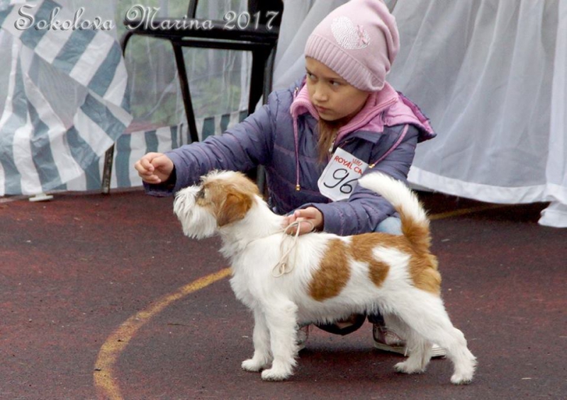 конкурс ЮНЫЙ ХЕНДЛЕР_7
