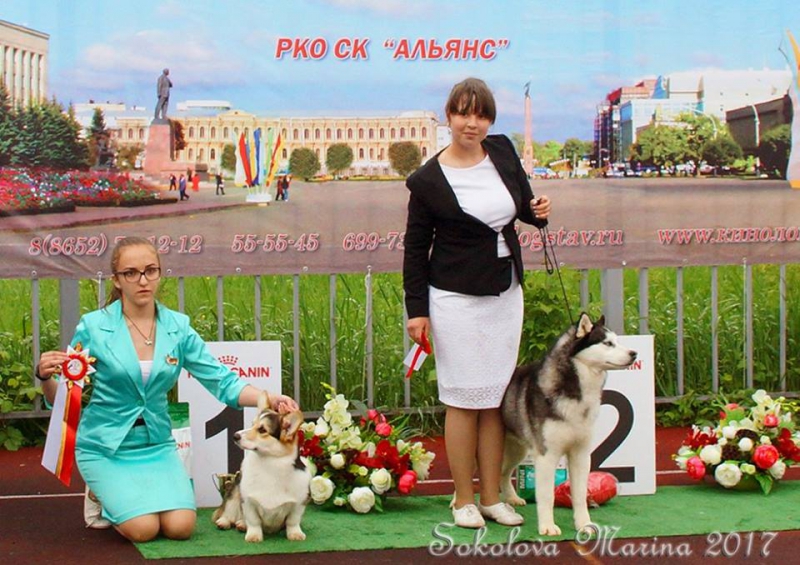конкурс ЮНЫЙ ХЕНДЛЕР_1