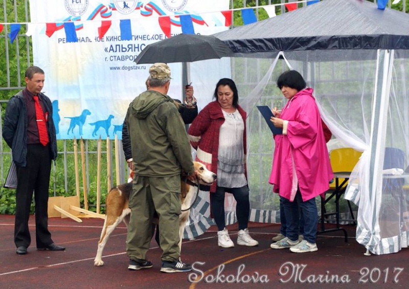 ЭКСПЕРТЫ ВЫСТАВКИ_6