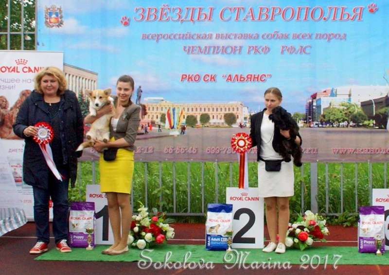 Бест Бэби_9
