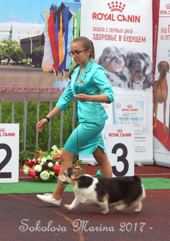 Бест ЩЕНКОВ_1