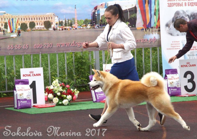 Бест ЩЕНКОВ_4