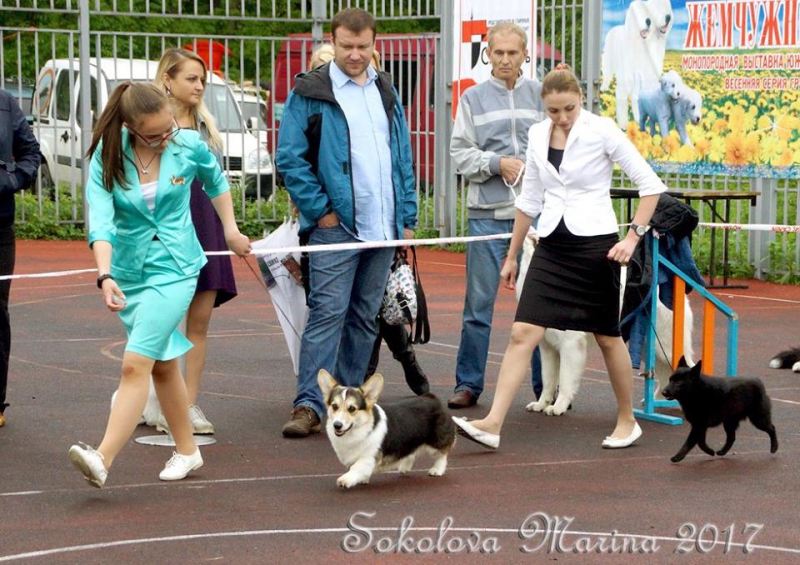 Бест ЩЕНКОВ_1