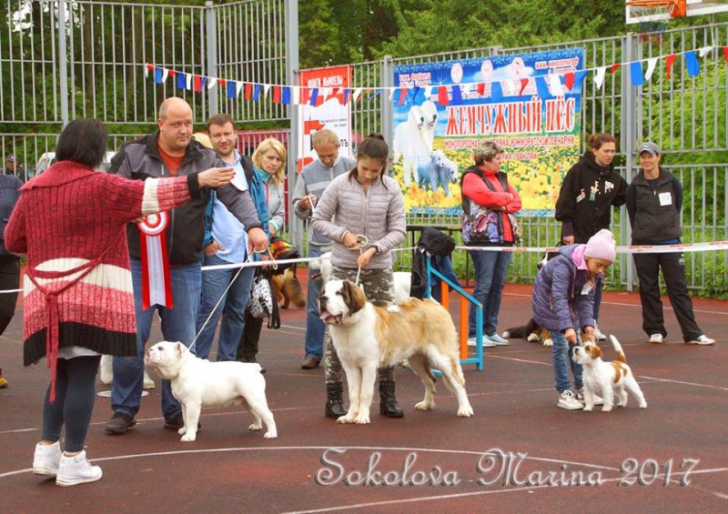 Бест ЩЕНКОВ_6
