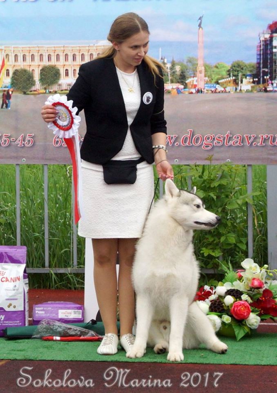 Бест ЩЕНКОВ_10