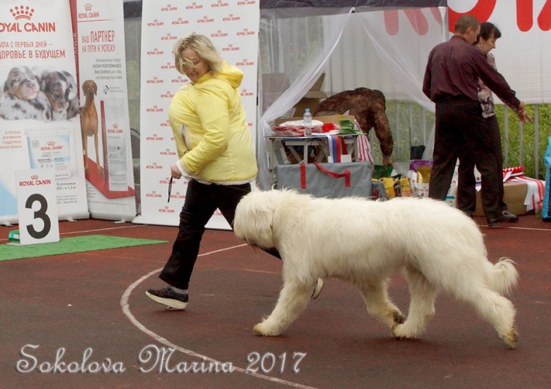 14 мая 2017_1