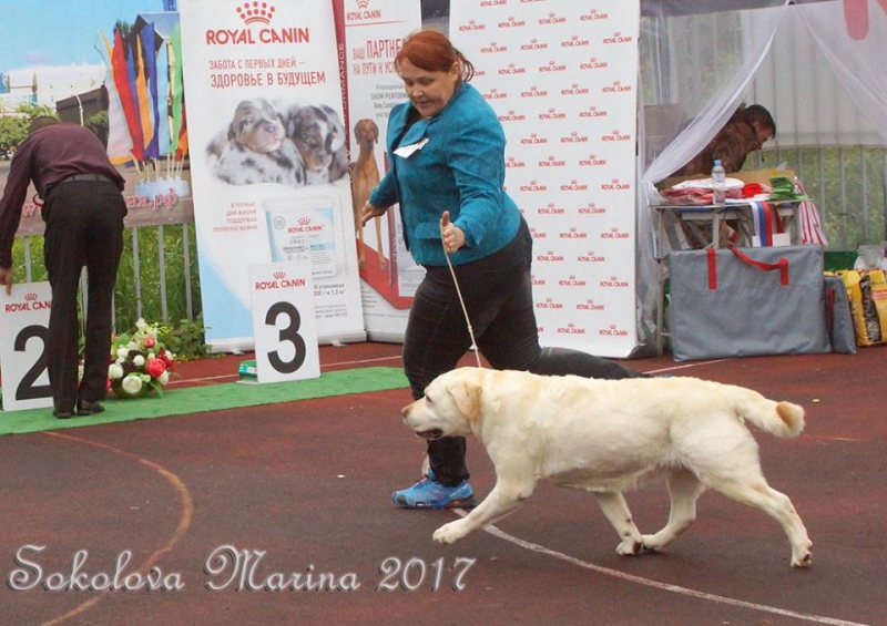 14 мая 2017_2