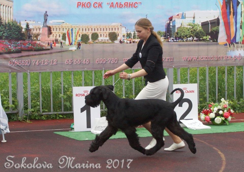Конкурс ПИТОМНИКОВ_2