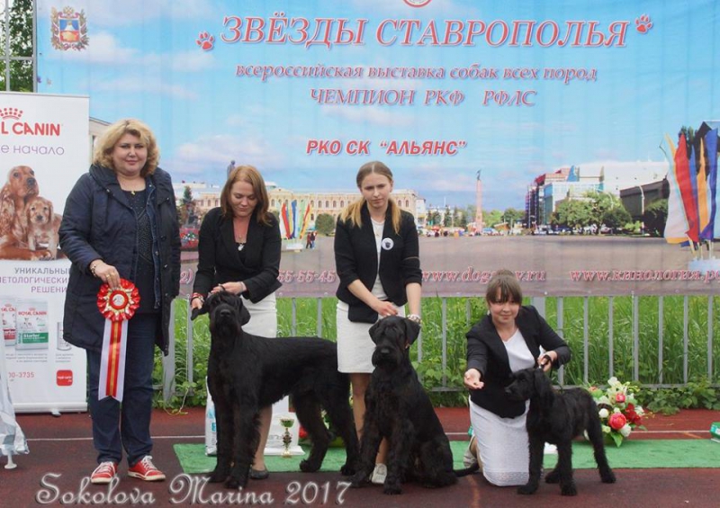 Конкурс ПИТОМНИКОВ_3