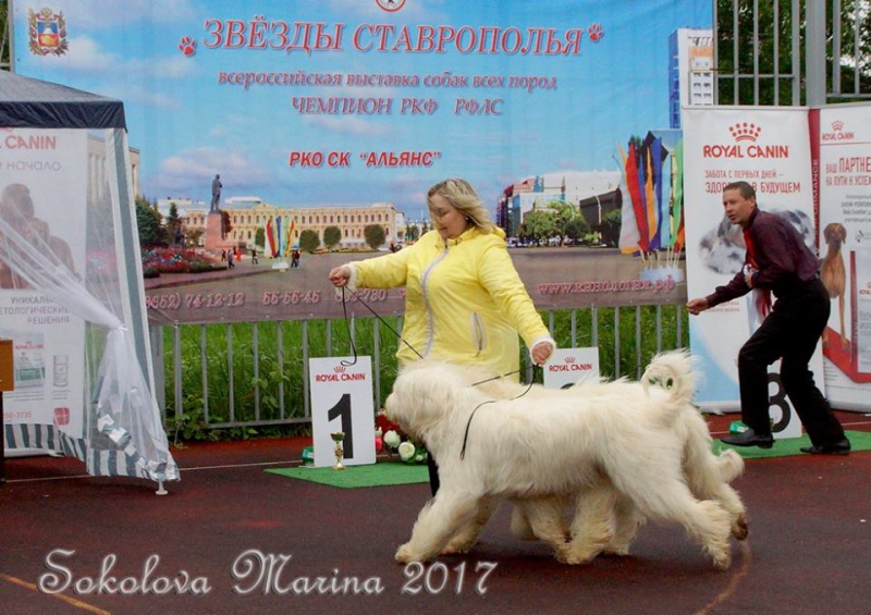 Конкурс ЛУЧШАЯ ПАРА_1