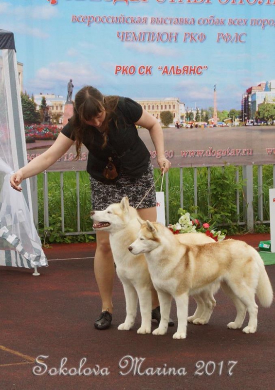 Конкурс ЛУЧШАЯ ПАРА_3