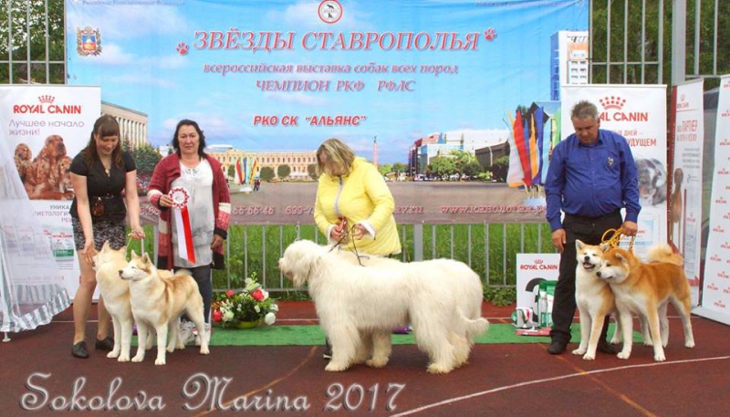Конкурс ЛУЧШАЯ ПАРА_5
