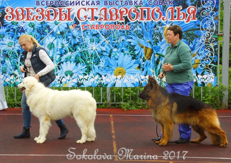 Бест 1 гр._2