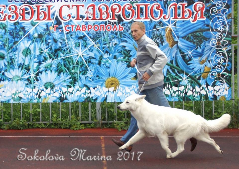 Бест 1 гр._3