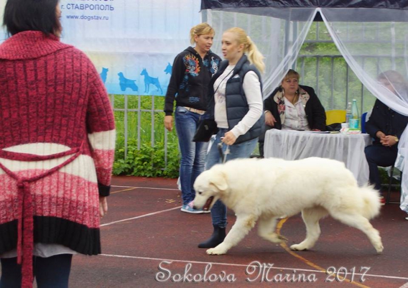 Бест 1 гр._6