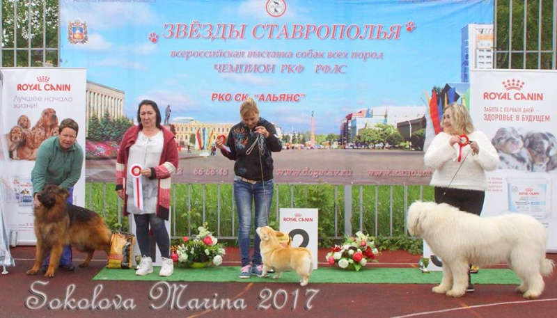 Бест 1 гр._7