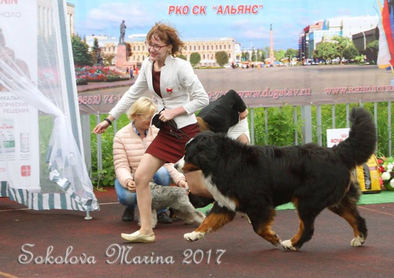 Бест 2 гр._6