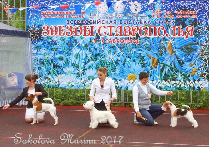 Бест 3 гр._1