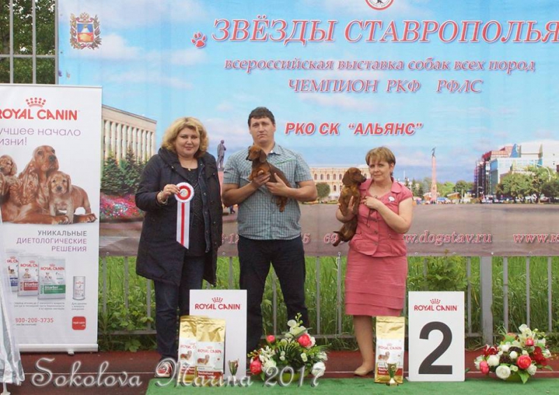Бест 4 гр._1