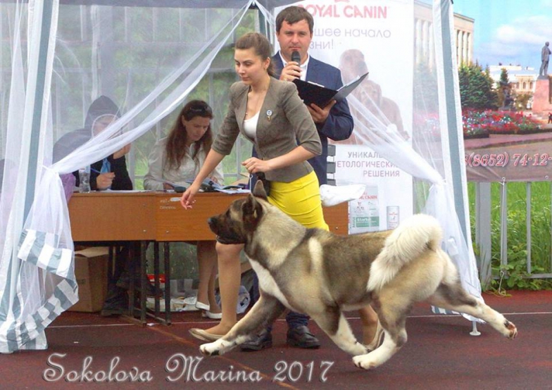 Бест 5 гр._1