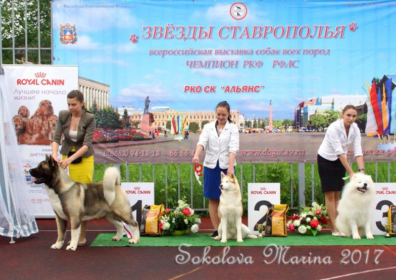 Бест 5 гр._2