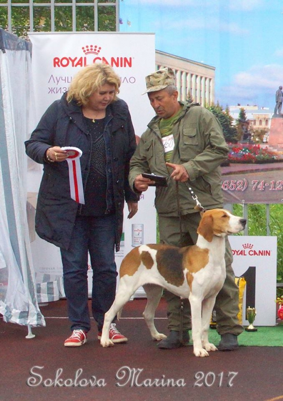 Бест 6 гр._2