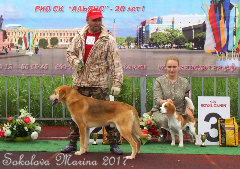 Бест 6 гр._3