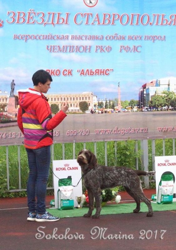 Бест 7 гр._2