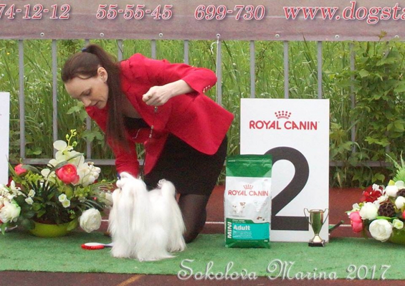 Бест 9 гр._9