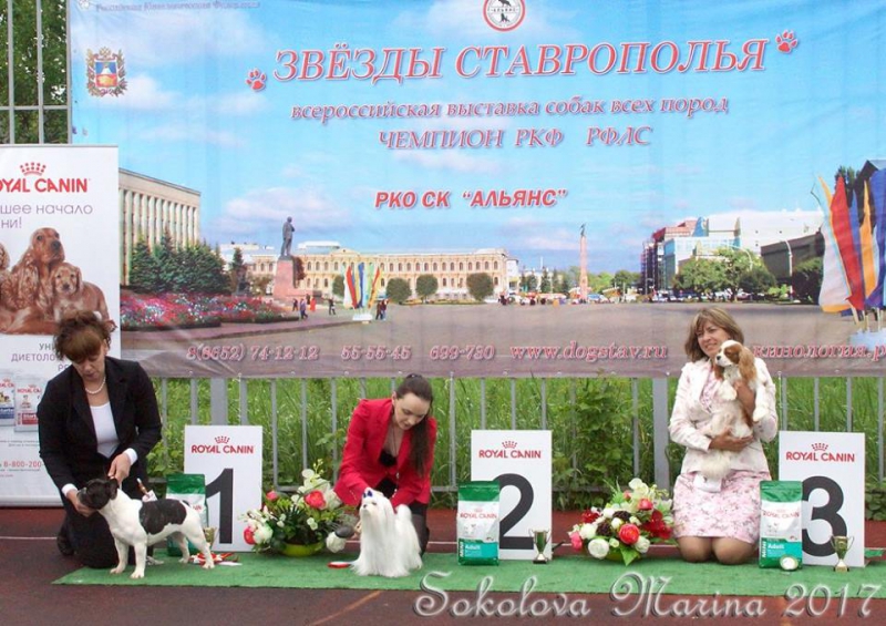 Бест 9 гр._1