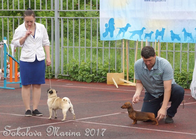 БЕСТ ЮНИОРОВ _1
