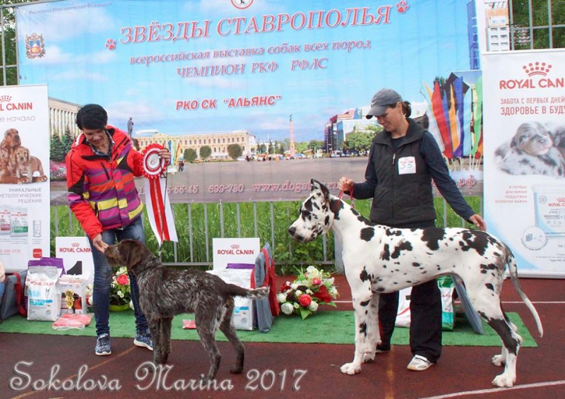 БЕСТ ЮНИОРОВ _4