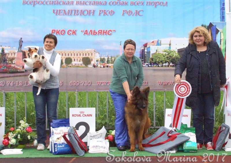 Главный БЕСТ - ЛУЧШИЕ СОБАКИ ВЫСТАВКИ!_3