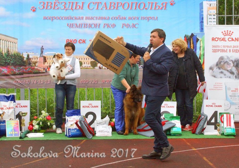 Главный БЕСТ - ЛУЧШИЕ СОБАКИ ВЫСТАВКИ!_4