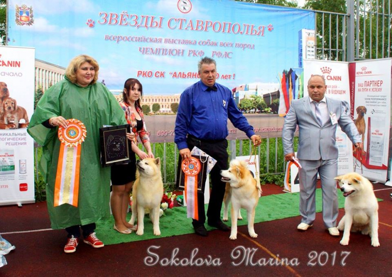 монопородная выставка Акита-Ину_1