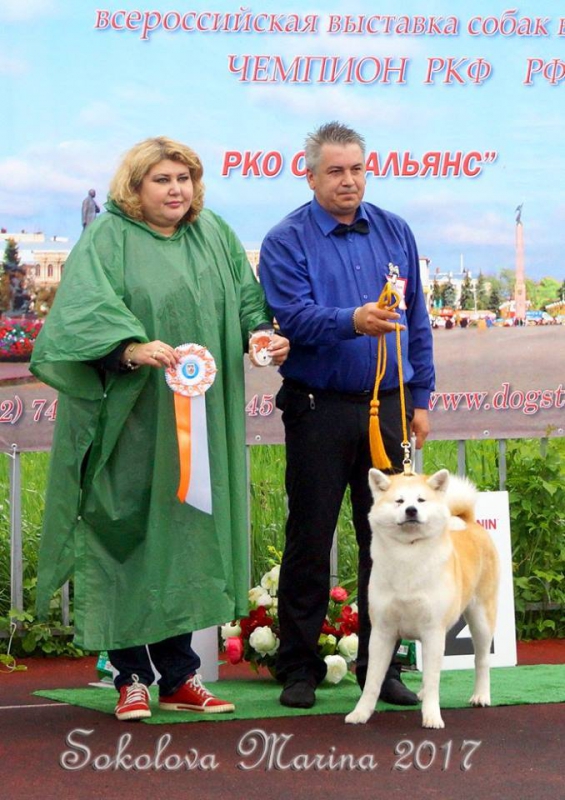 монопородная выставка Акита-Ину_7
