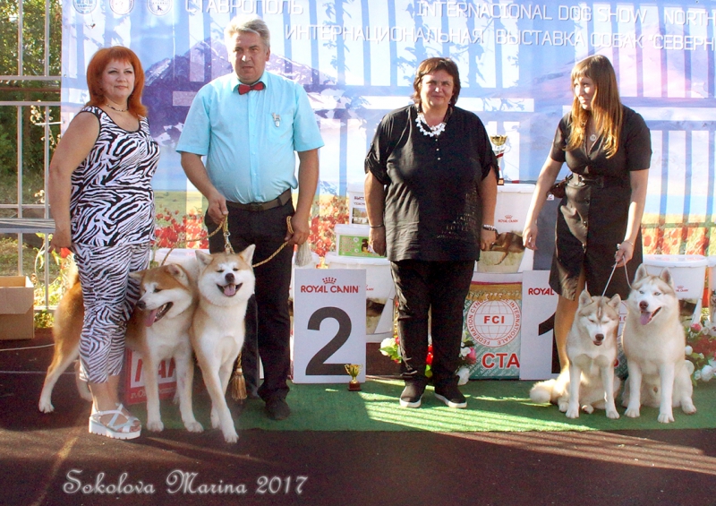 CACIB 3 сентября 2017_5