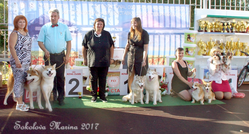 CACIB 3 сентября 2017_6