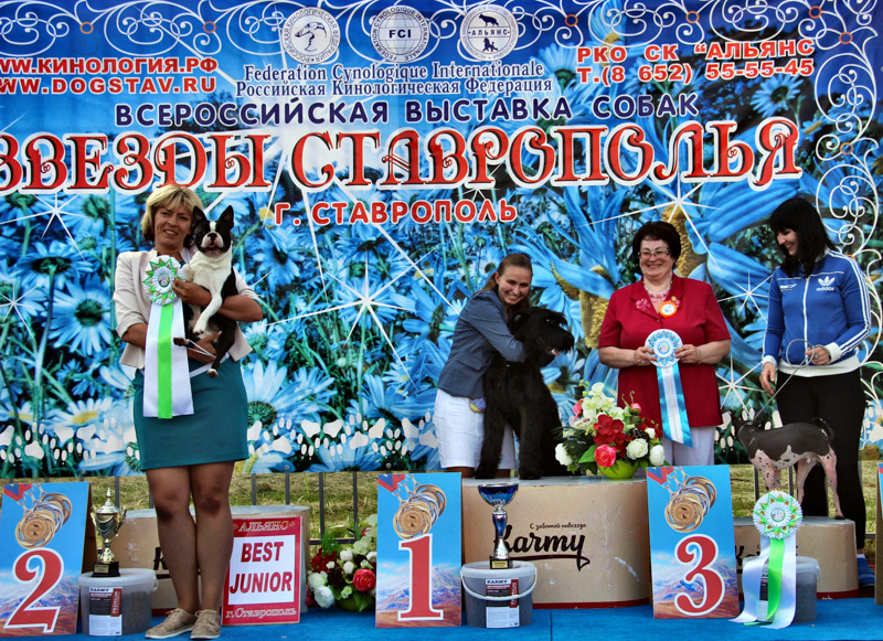 Выставка САС в Ставрополе_7