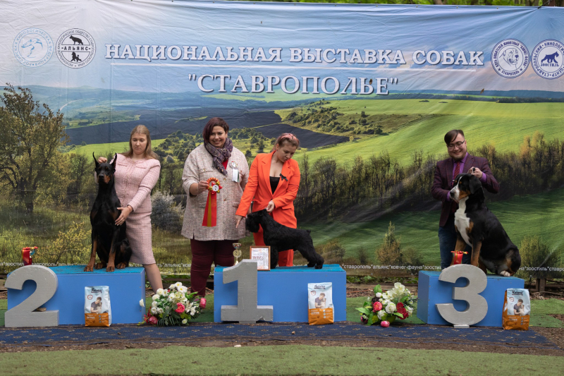 14 мая выставка САС ЧФ - 