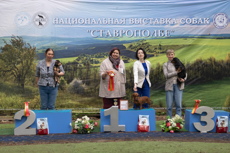 14 мая выставка САС ЧФ - 