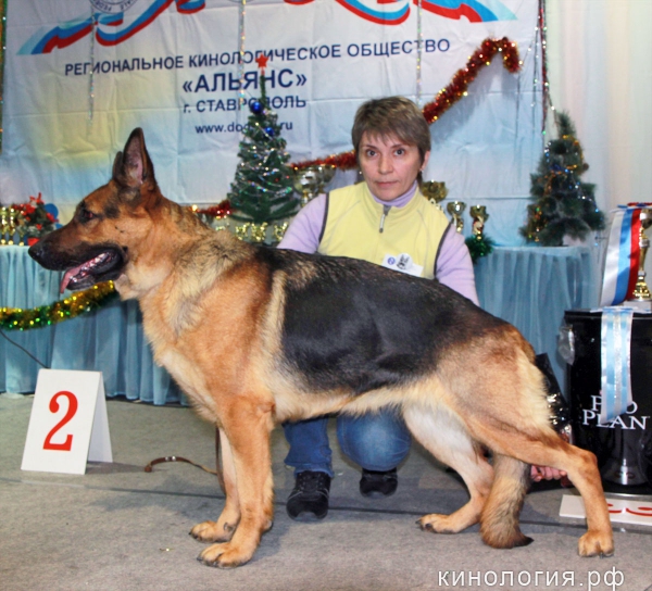 Победитель выставки_1