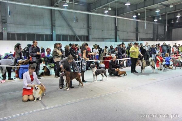 Best in Show_1